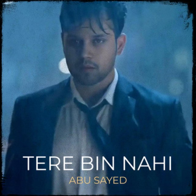 Tere Bin Nahi cover art